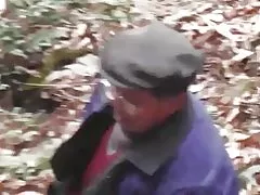 Metsas seeria - metsa metsik